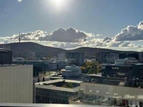 1BR City Apt-Parking&View& Homey